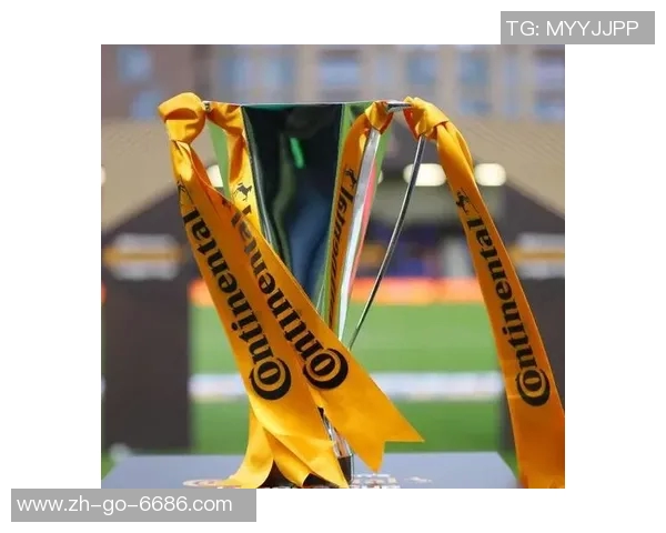 男足女足球星巅峰对决辉煌时刻全面回顾与未来发展展望